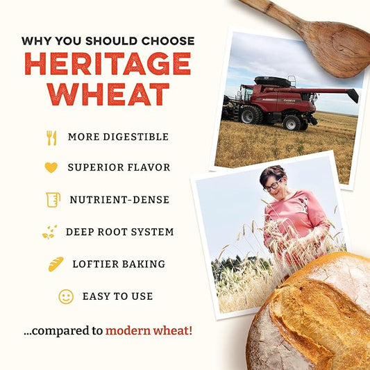 Sunrise Flour Mill Heritage Organic Bread Flour Blend - 5 lbs | Organic Unbleached Bread Flour Easy to Digest with Less Bloating | High Protein, Superior Baking | Smooth, Nutty Flavor – Festa Pizza Co.